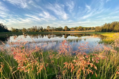 Private Full-Day Wine Tour In Hunter Valley - Tourism TAS 5