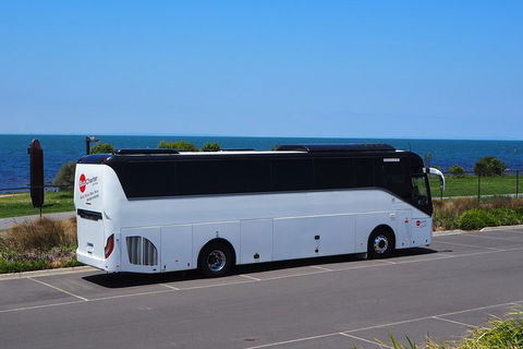 Private 13 Seat Mini Bus CBD To Sydney Airport Transfer - Tourism TAS 3