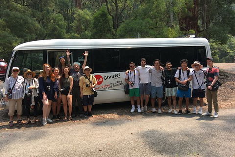 Private 13 Seat Mini Bus CBD To Sydney Airport Transfer - Tourism TAS 4