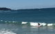 Red Dog Surf - Professional Surf Lessons - thumb 1