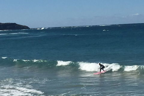 Red Dog Surf - Professional Surf Lessons - Tourism TAS 1