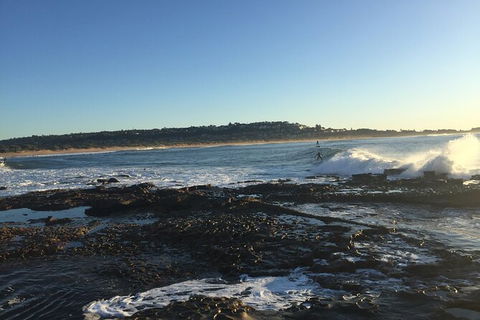 Red Dog Surf - Professional Surf Lessons - Tourism TAS 2