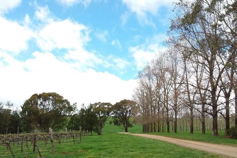 All-inclusive Morning Wine Tour In Orange - Tourism TAS 8