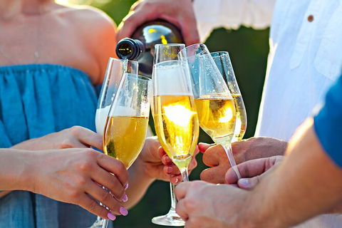 All-inclusive Morning Wine Tour In Orange - Tourism TAS 9