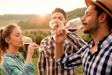 All-inclusive Morning Wine Tour In Orange - Tourism TAS 0