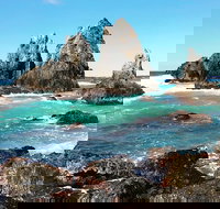 South Coast Photography Field Day