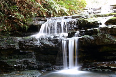 Private 10-hour Tour To Blue Mountains From Sydney - Hotel Pick Up & Drop Off - Hobart Tourism 6