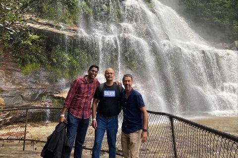 Blue Mountains Highlights & Wildlife Park - Tourism TAS 4