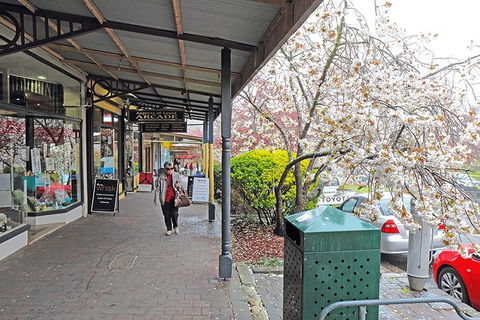 Blue Mountains Highlights & Wildlife Park - Tourism TAS 2