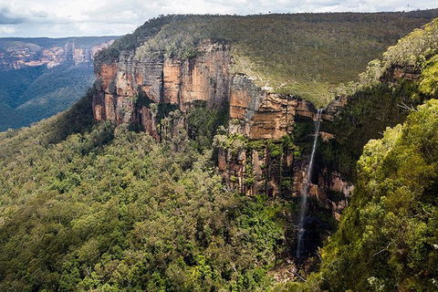 Blue Mountains Highlights & Wildlife Park - Tourism TAS 9