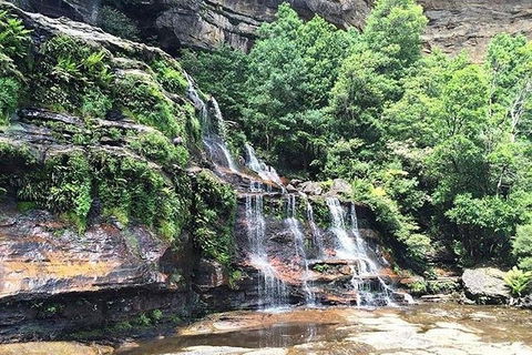 Blue Mountains Highlights & Wildlife Park - Tourism TAS 8