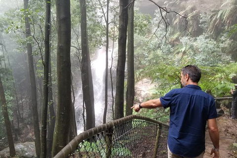 Blue Mountains Highlights, Wildlife Park And Scenic World Full Day Private Tour - Hobart Tourism 6