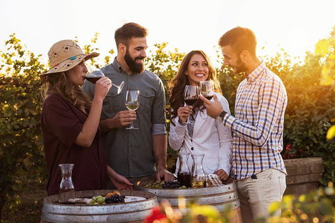 Hunter Valley Highlights Private Wine Tour From Sydney - Hobart Tourism 0