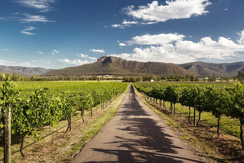 Hunter Valley Highlights Private Wine Tour From Sydney - Hobart Tourism 2