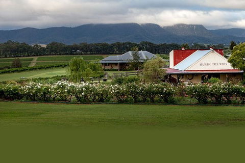 Hunter Valley Highlights Private Wine Tour From Sydney - Hobart Tourism 5