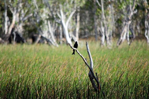 ETHICAL ADVENTURES - Dry Season Litchfield Region, Max 10 Guests - Tourism TAS 2