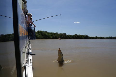 Darwin City Sights And Jumping Crocodile Cruise - Tourism TAS 2