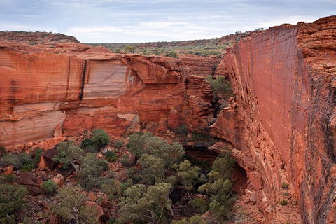 Uluru, Kata Tjuta And Kings Canyon Camping Safari From Alice Springs - Hobart Tourism 4