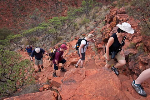 Uluru, Kata Tjuta And Kings Canyon Camping Safari From Alice Springs - Hobart Tourism 3
