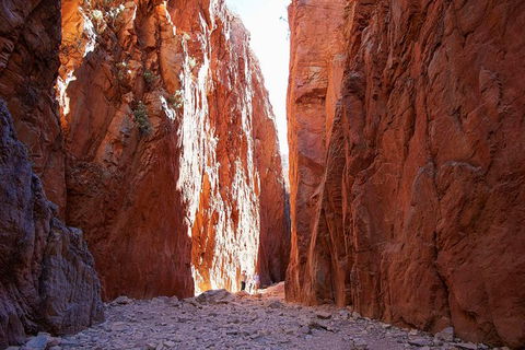 Best Of Alice Springs Full Day Tour - Hobart Tourism 6