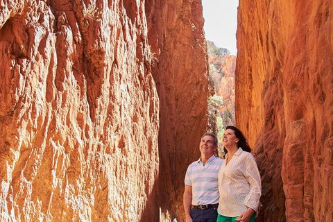 Best Of Alice Springs Full Day Tour - Hobart Tourism 4