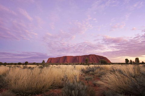 Explore Uluru: 7 Hours Guide Tour At Sunrise With Light Breakfast - Hobart Tourism 4