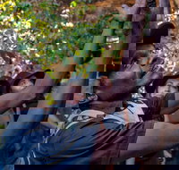 Arnhem Land Injalak Hill Full-Day Tour from Darwin - Tourism TAS