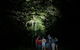 Atherton Tablelands Rain Forest By Night From Cairns - thumb 9