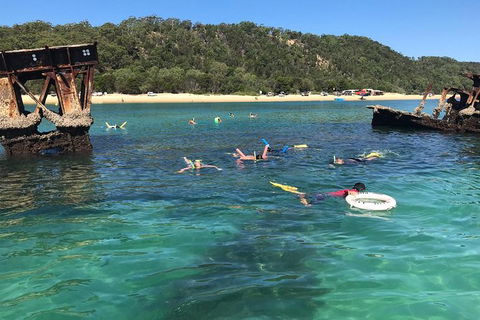 All Inclusive Dolphin And Tangalooma Wrecks Cruise - Tourism TAS 9