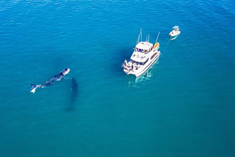 Remote Fraser Island Experience - Tourism TAS 11