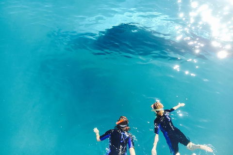 Remote Fraser Island Experience - Tourism TAS 10