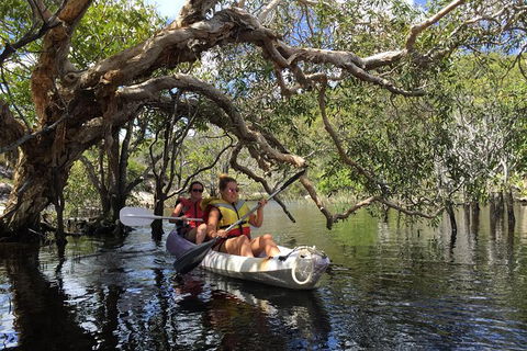 Remote Fraser Island Experience - Tourism TAS 7