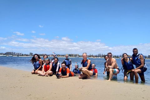 Half Day Dolphin Kayaking And Snorkeling Tour - Hobart Tourism 9