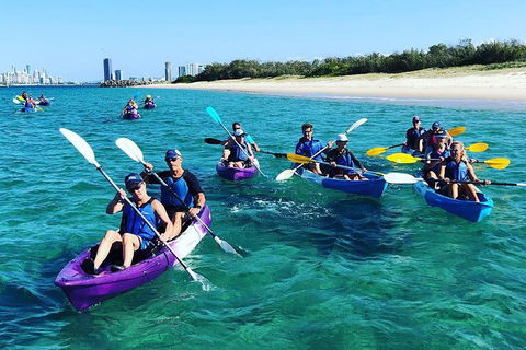 Half Day Dolphin Kayaking And Snorkeling Tour - Hobart Tourism 11