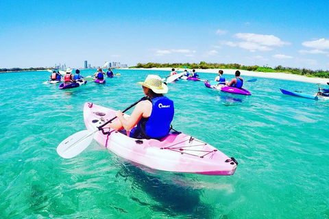Half Day Dolphin Kayaking And Snorkeling Tour - Hobart Tourism 0