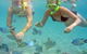 Half Day Dolphin Kayaking And Snorkeling Tour - thumb 4