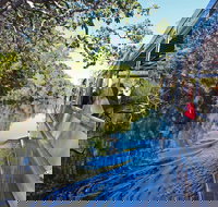 Serenity Cruise to Australia's Everglades - Tourism TAS