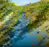 Cruise 'n' Canoe to Australia's Everglades - Tourism TAS