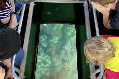 Airlie Beach Glass Bottom Boat Tour - Tourism TAS 10