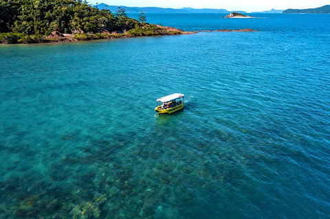 Airlie Beach Glass Bottom Boat Tour - Tourism TAS 8