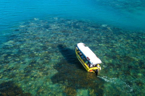 Airlie Beach Glass Bottom Boat Tour - Tourism TAS 9