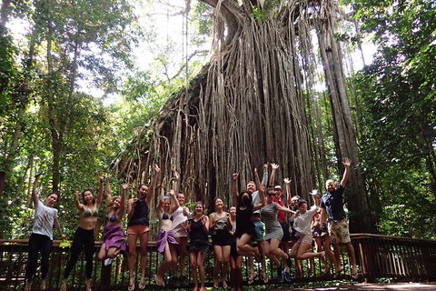 Atherton Tablelands Waterfalls Tour From Cairns - Tourism TAS 8