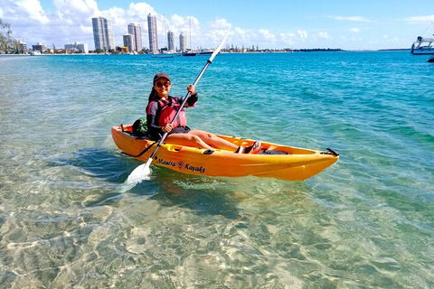 2.5hr Gold Coast Kayaking & Snorkelling Tour - Hobart Tourism 7