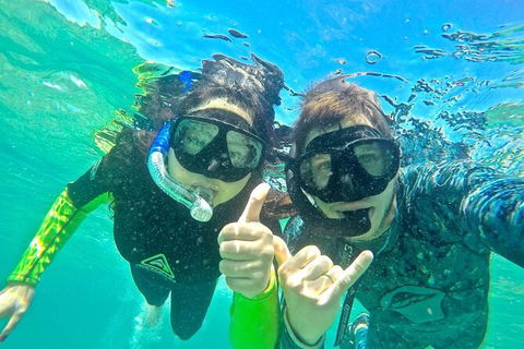 2.5hr Gold Coast Kayaking & Snorkelling Tour - Hobart Tourism 2