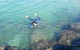 2.5hr Gold Coast Kayaking & Snorkelling Tour - thumb 11