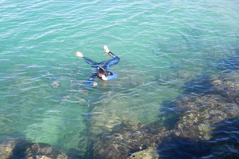 2.5hr Gold Coast Kayaking & Snorkelling Tour - Hobart Tourism 11
