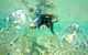2.5hr Gold Coast Kayaking & Snorkelling Tour - thumb 14