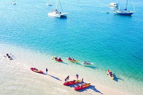 2.5hr Gold Coast Kayaking & Snorkelling Tour - Hobart Tourism 0