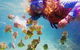 2.5hr Gold Coast Kayaking & Snorkelling Tour - thumb 10