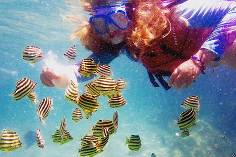 2.5hr Gold Coast Kayaking & Snorkelling Tour - Hobart Tourism 10